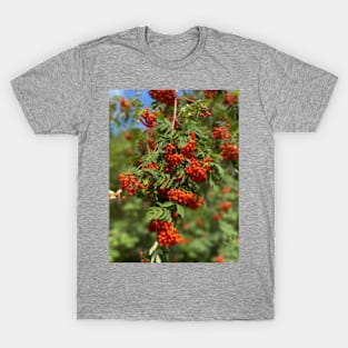 Mountain ash, nature, tree T-Shirt